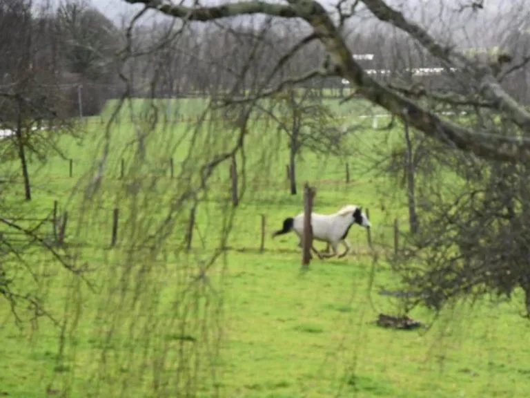 Avis gîte en Normandie
