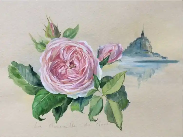 gite proche du jardin des plantes en Normandie