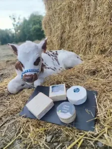 Les produits locaux Normands: produits laitiers de la ferme du bienheureux